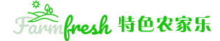 响应式农家乐户外活动企业网站模板(自适应手机端)