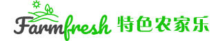 响应式农家乐户外活动企业网站模板(自适应手机端)