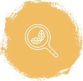 Product Category