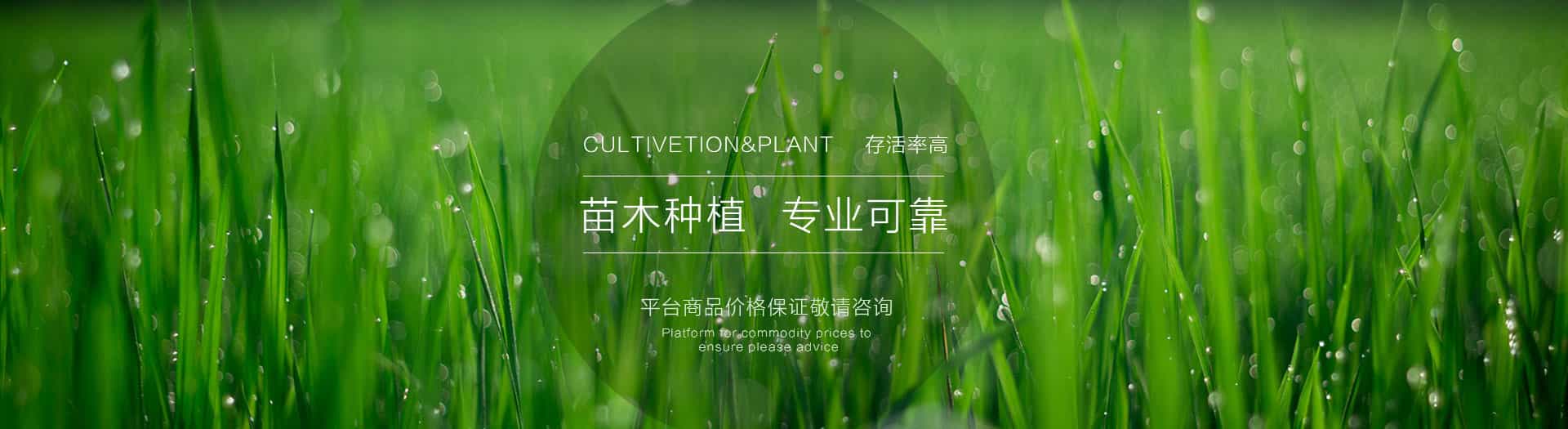 幻灯一