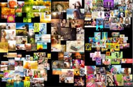 网页设计,北京网页设计,XXX网页设计,手机端网页设计